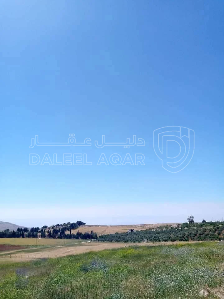أرض في مادبا - الفيصلية  - 85,000 دأ - صورة 1